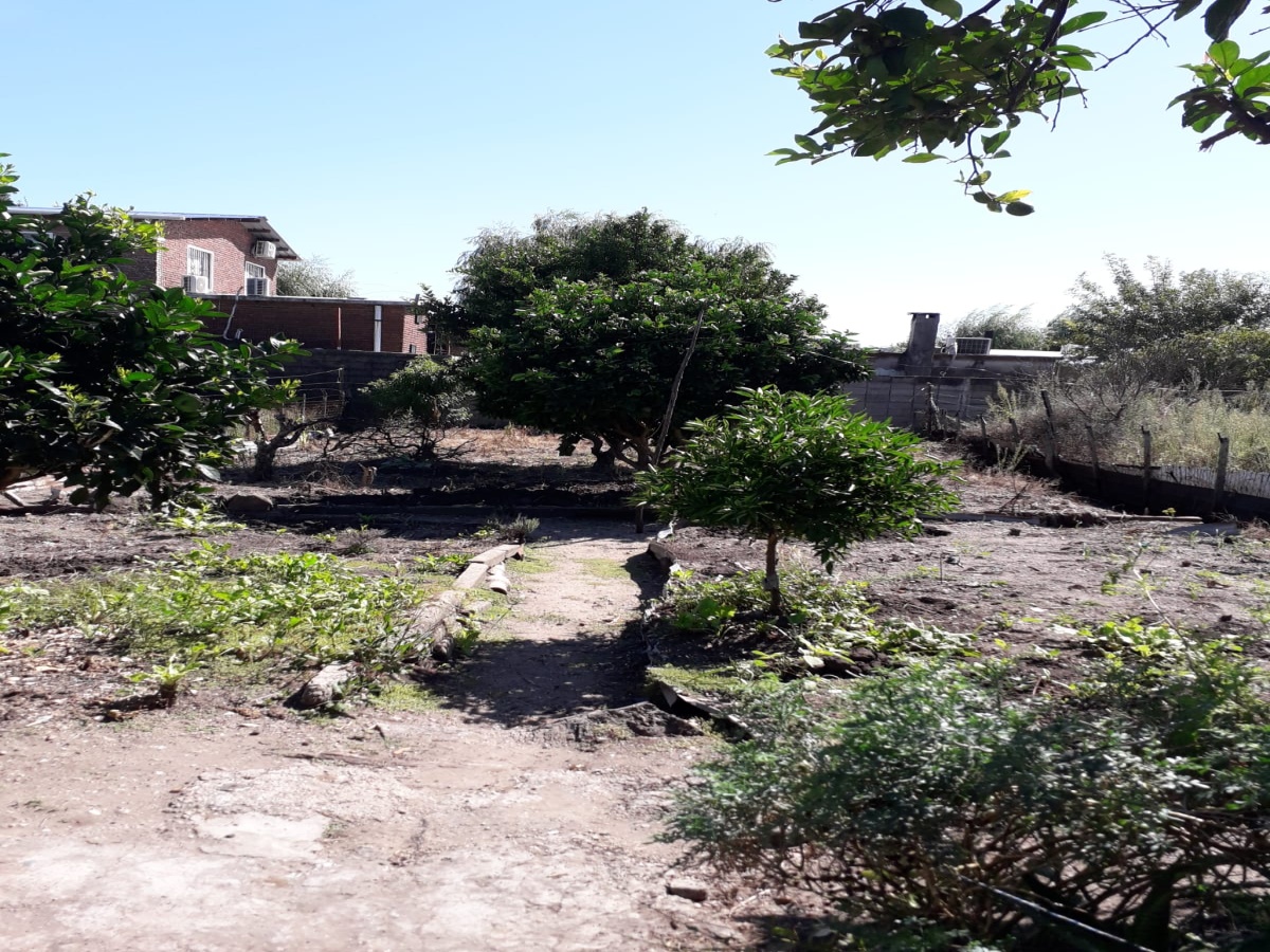 385 Batalla de Carpintería, Durazno, 3 Habitaciones Habitaciones, ,1 BañoBathrooms,Casa,En venta,Batalla de Carpintería,1927