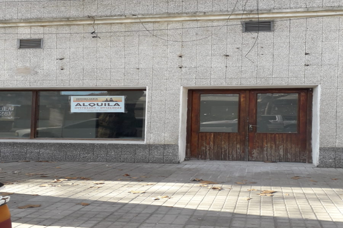 914 Penza, Durazno, 0 , 2 Habitaciones Habitaciones,1 BañoBathrooms,Local comercial,En alquiler,Penza,0,1948