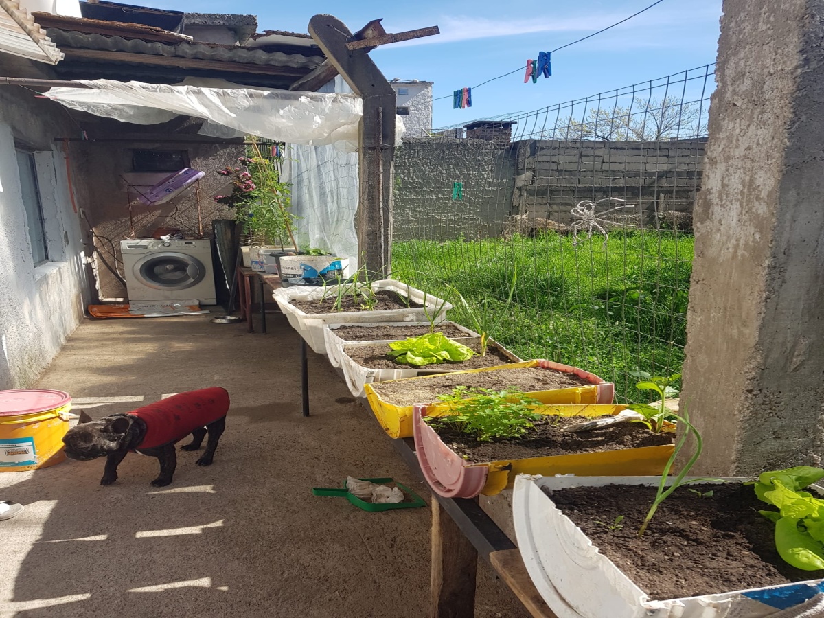 423 Zagnoli, Durazno, 5 Habitaciones Habitaciones, ,2 BathroomsBathrooms,Casa,En venta,Zagnoli,1957