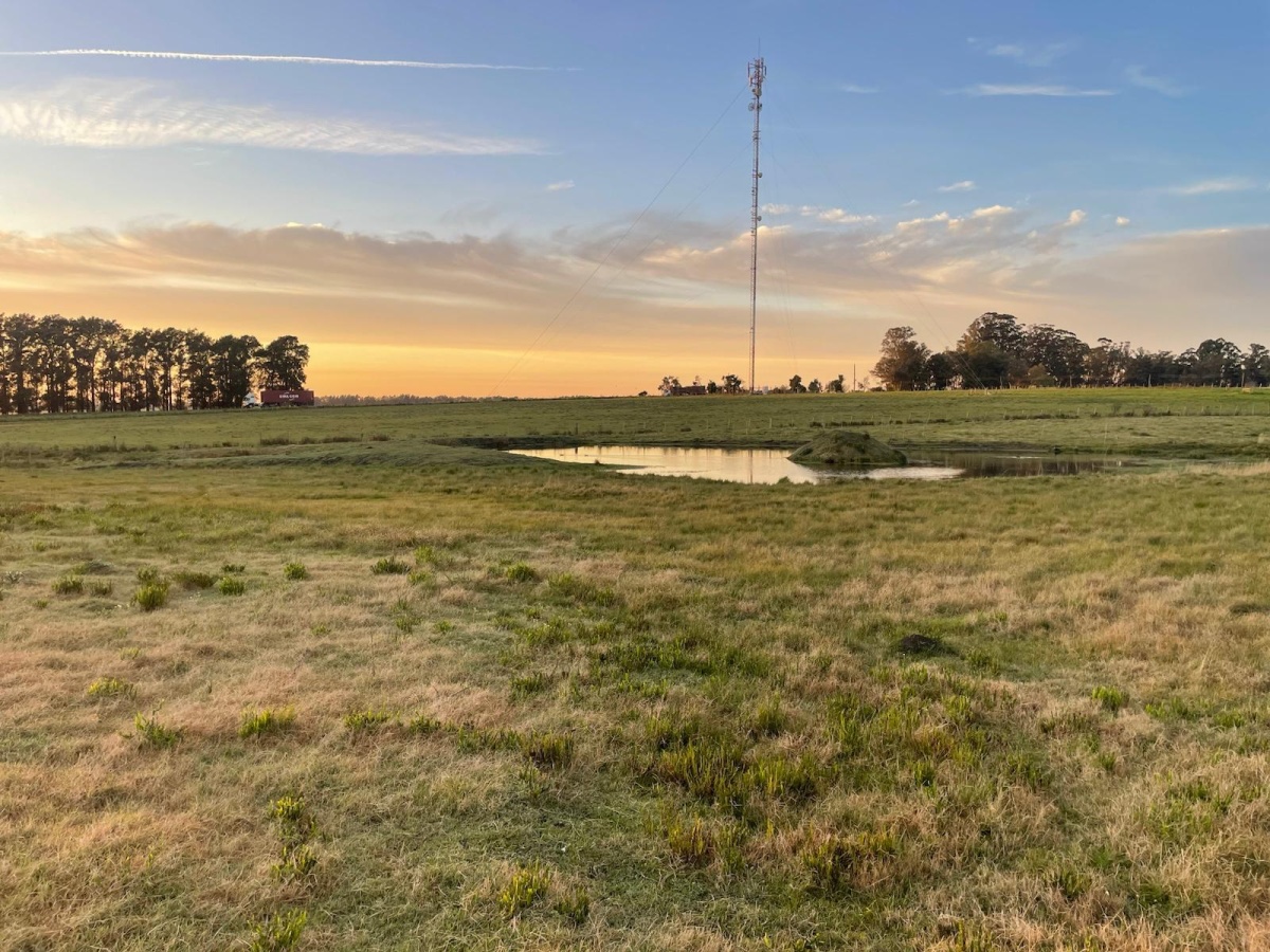 Durazno, 0 , 0 ,0,Chacra,En alquiler,0,1972