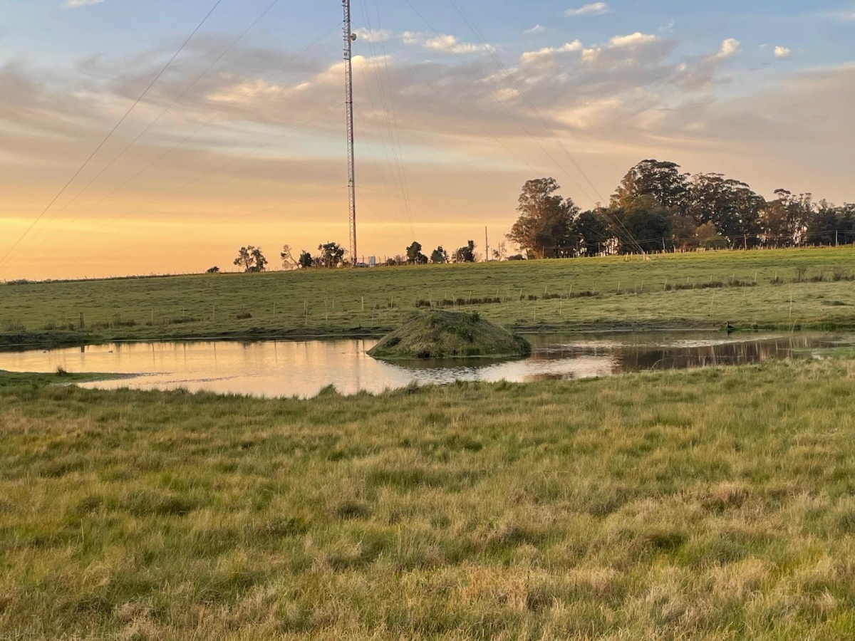 Durazno, 0 , 0 ,0,Chacra,En alquiler,0,1972