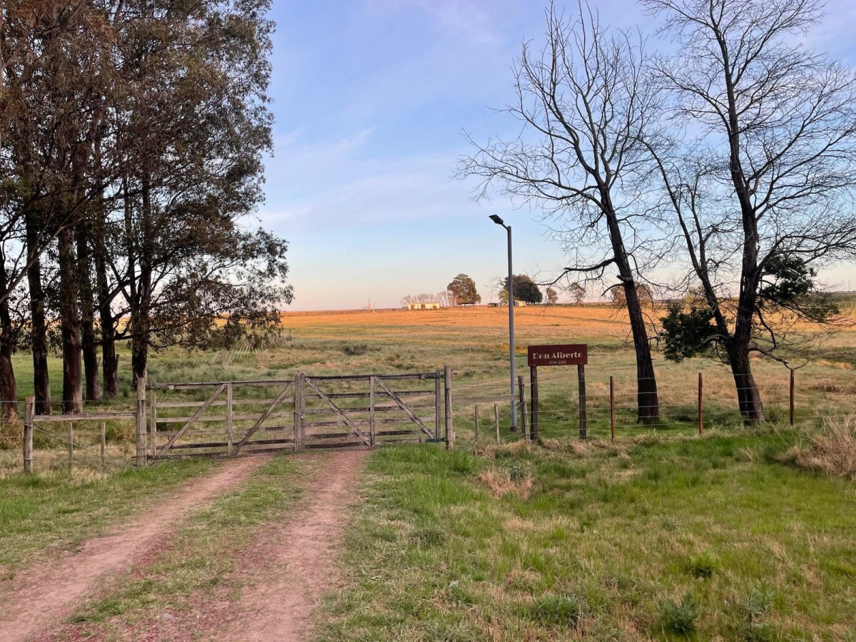 Durazno, 0 , 0 ,0,Chacra,En alquiler,0,1972