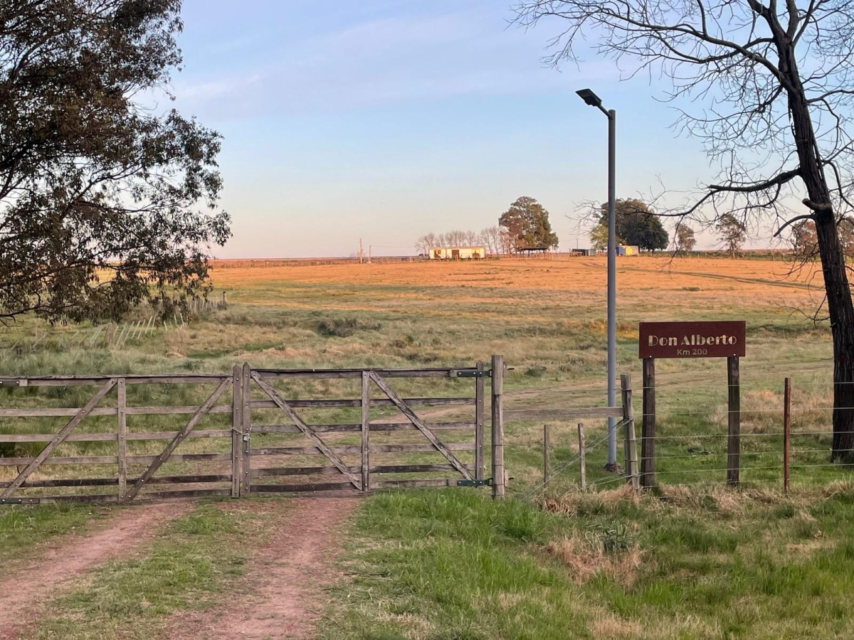 Durazno, 0 , 0 ,0,Chacra,En alquiler,0,1972