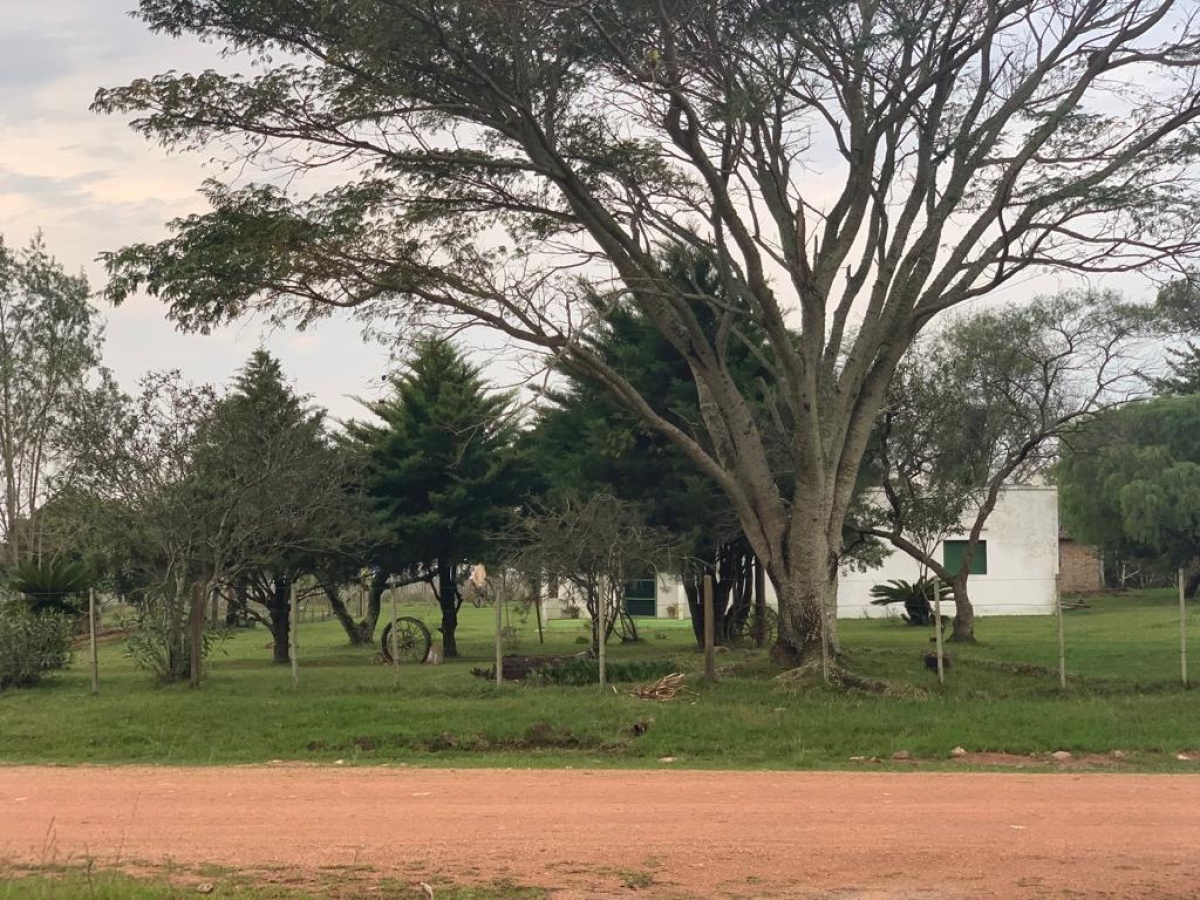 Tacuarembó, 0 , 0 ,0,Chacra,En venta,0,1973
