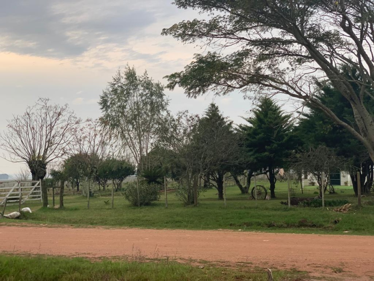 Tacuarembó, 0 , 0 ,0,Chacra,En venta,0,1973