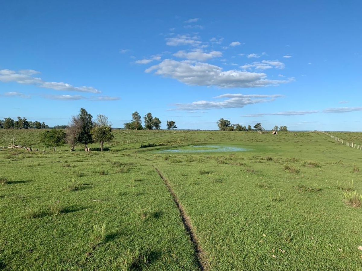 Tacuarembó, 0 , 0 ,0,Chacra,En venta,0,1973