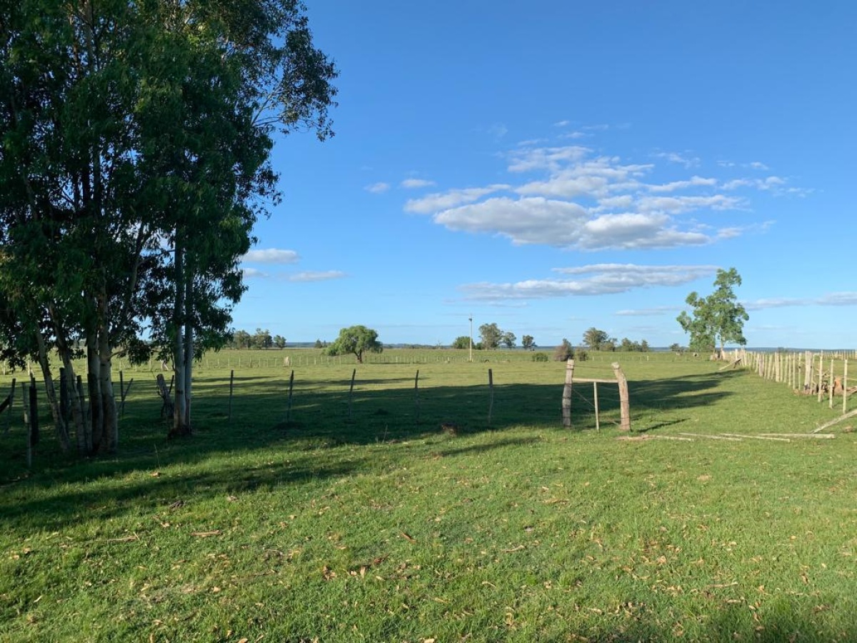 Tacuarembó, 0 , 0 ,0,Chacra,En venta,0,1973