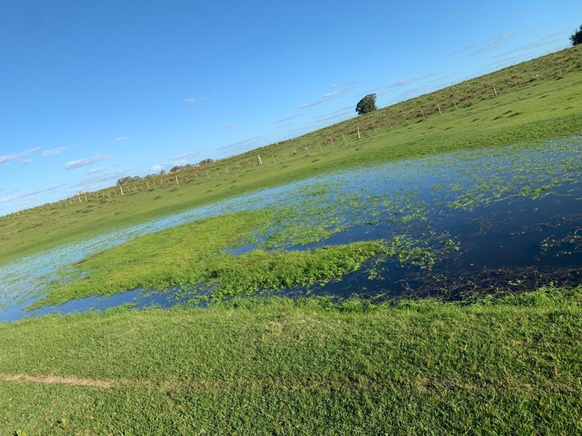Tacuarembó, 0 , 0 ,0,Chacra,En venta,0,1973