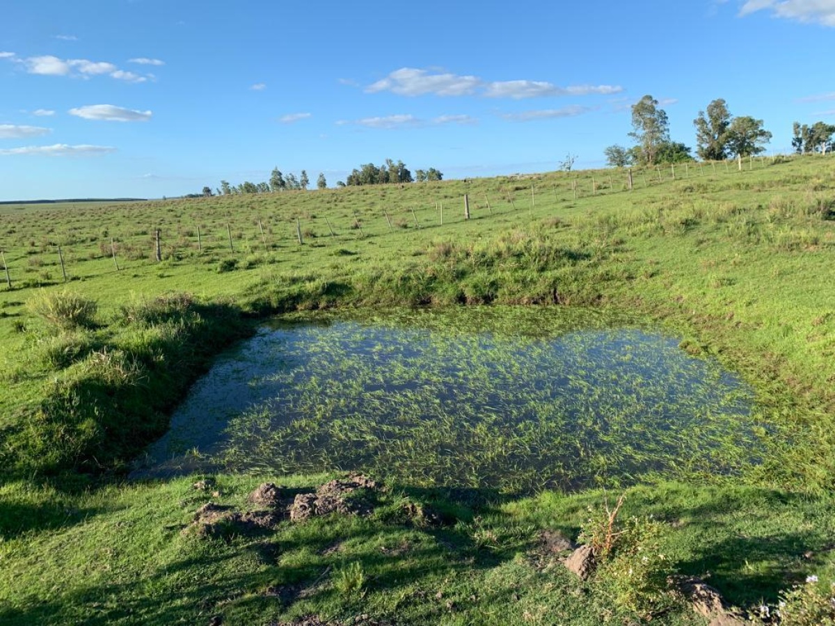 Tacuarembó, 0 , 0 ,0,Chacra,En venta,0,1973
