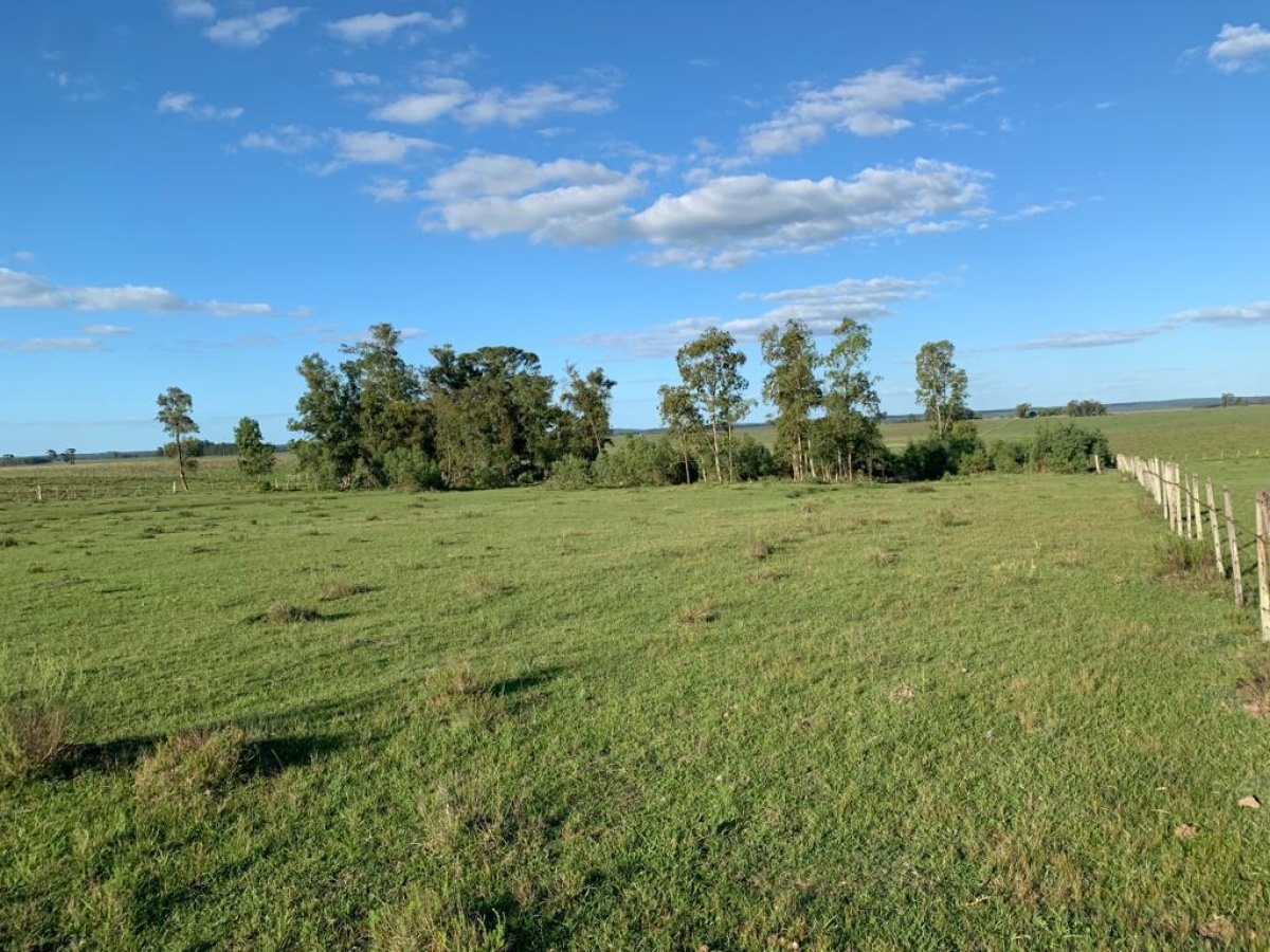 Tacuarembó, 0 , 0 ,0,Chacra,En venta,0,1973