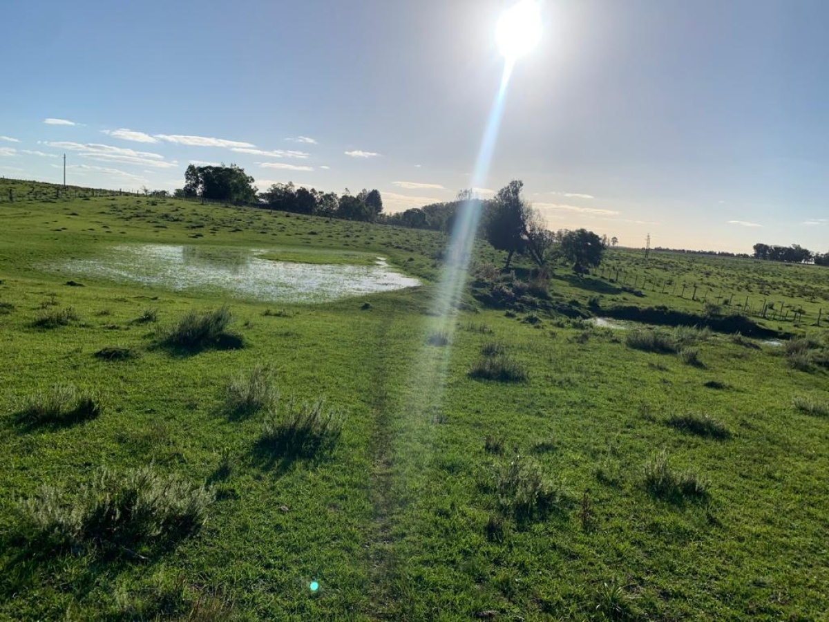 Tacuarembó, 0 , 0 ,0,Chacra,En venta,0,1973