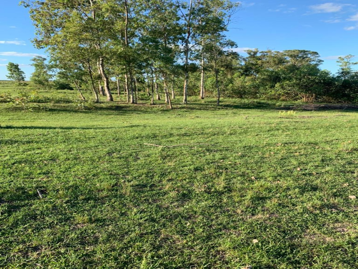 Tacuarembó, 0 , 0 ,0,Chacra,En venta,0,1973