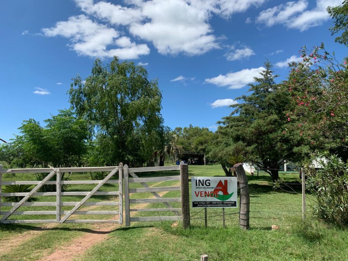 Tacuarembó, 0 , 0 ,0,Chacra,En venta,0,1973