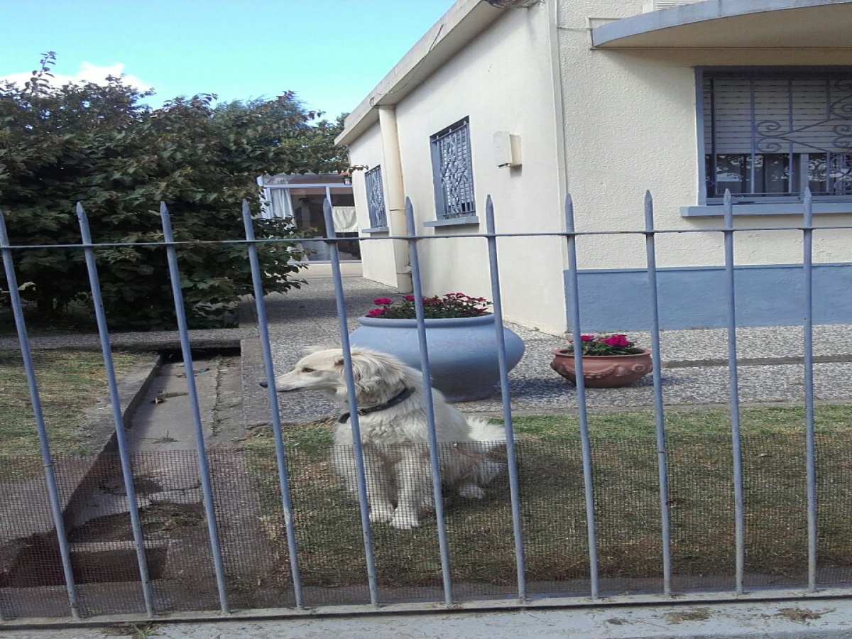 24 Fructuoso Rivera, Durazno, 2 Habitaciones Habitaciones, ,2 BathroomsBathrooms,Casa,En venta,Fructuoso Rivera,1279