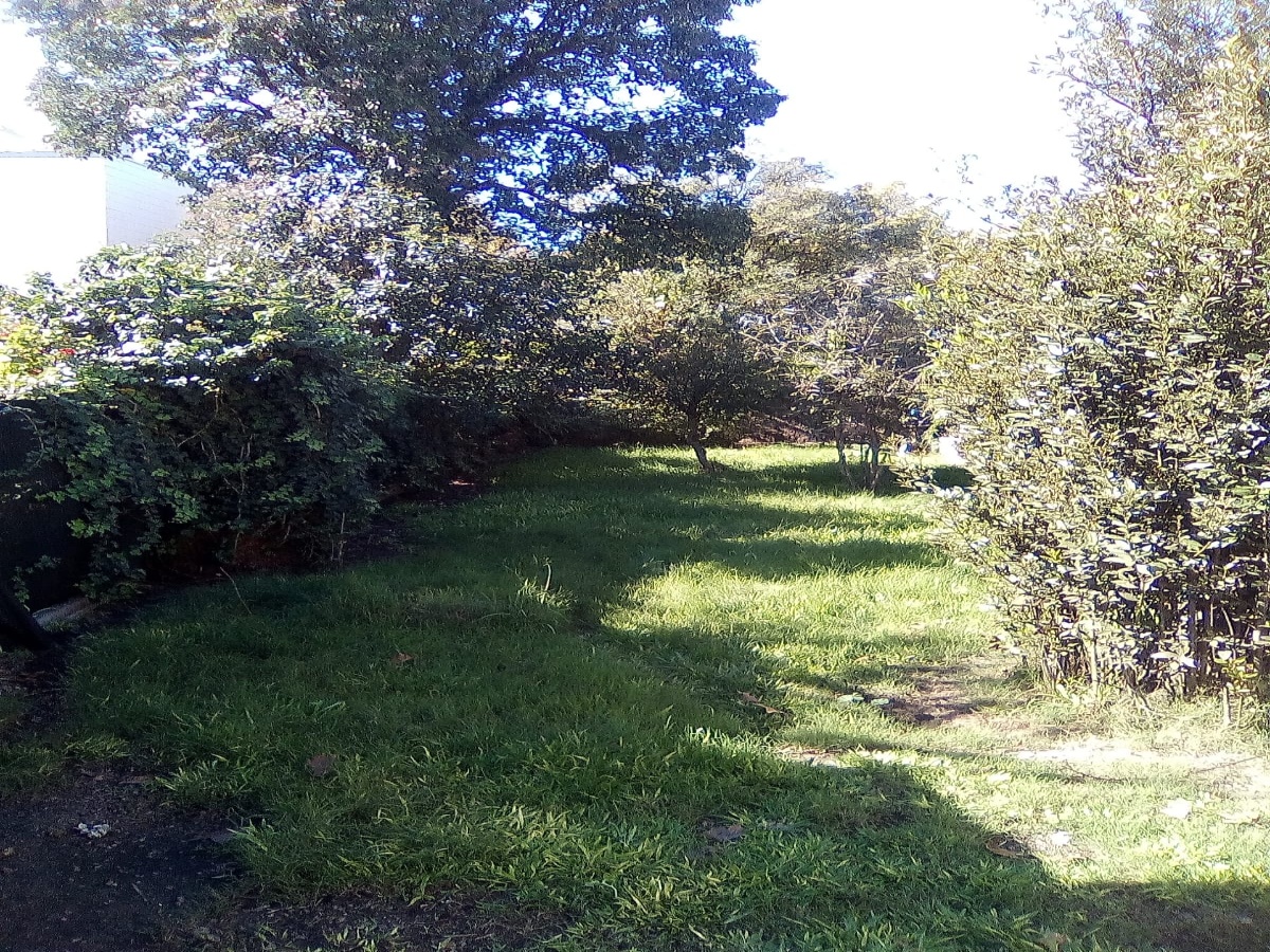 814 Ferreira Aldunate, Durazno, 3 Habitaciones Habitaciones, ,2 BathroomsBathrooms,Casa,En venta,Ferreira Aldunate,1323