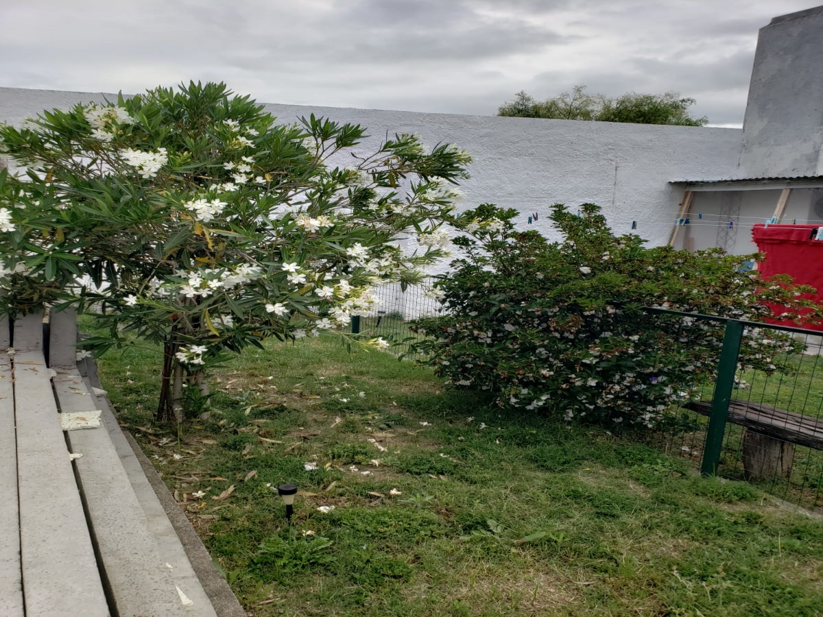 549 Otilia Schultze, Durazno, 3 Habitaciones Habitaciones, ,3 BathroomsBathrooms,Casa,En venta,Otilia Schultze,1583