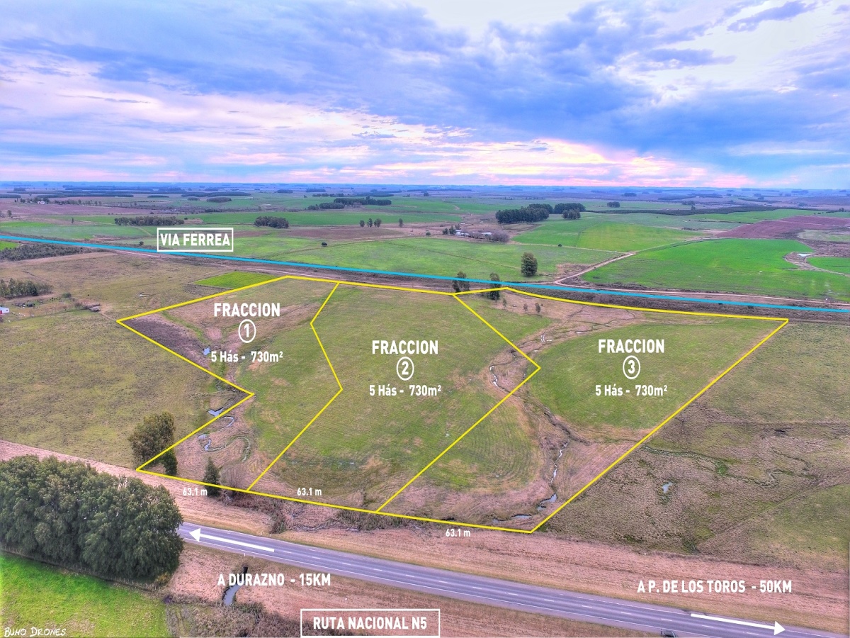 Ruta 5, Durazno, 0 , 0 ,0,Chacra,En venta,Ruta 5,0,1798