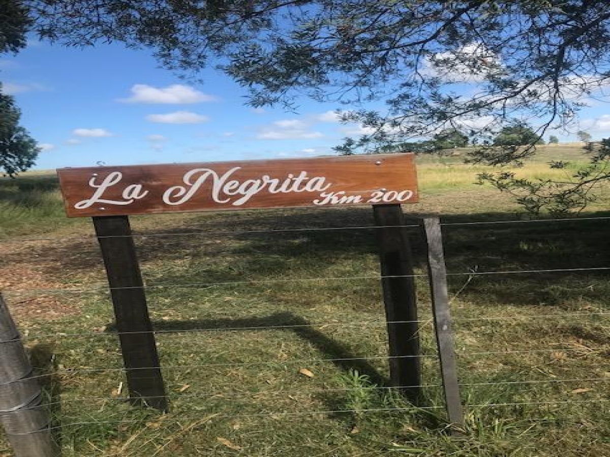 Ruta 5, Durazno, 0 , 0 ,0,Chacra,En venta,Ruta 5,0,1798