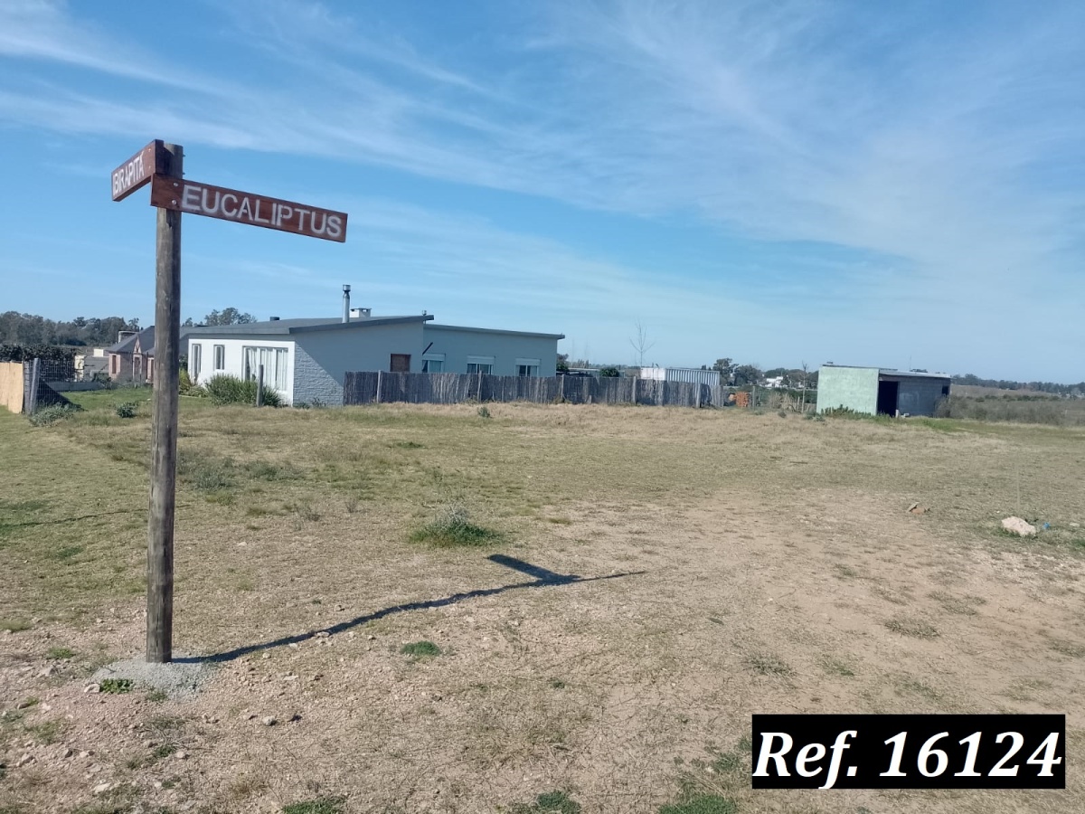 Santa Bernardina, Durazno, ,Terreno,En venta,Santa Bernardina,1863